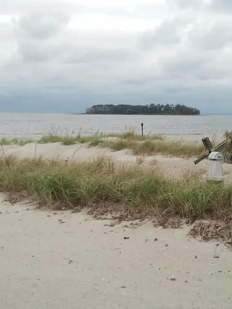 Étapes vers la plage de sable sur le détroit de Long Island - Image 1