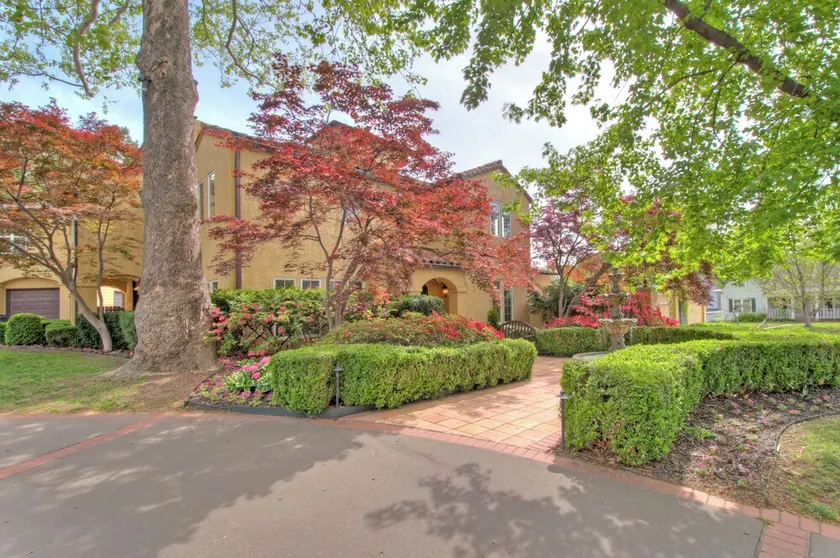 Midtown Mediterranean Oasis - Image 1