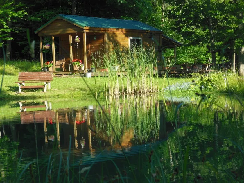 Neue Auflistung! Ebb ~ n ~ Flow - Rustikales Wellsville Cabin-Wandern, Radfahren & Wildlife - Image 1