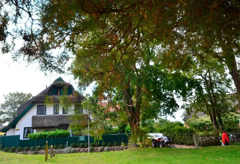 Holiday house for 8 guests with 100m² in Groß Zicker (20544) - Image 1