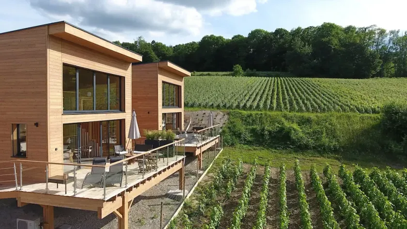 Your stay in a Champagne wine village - Image 1