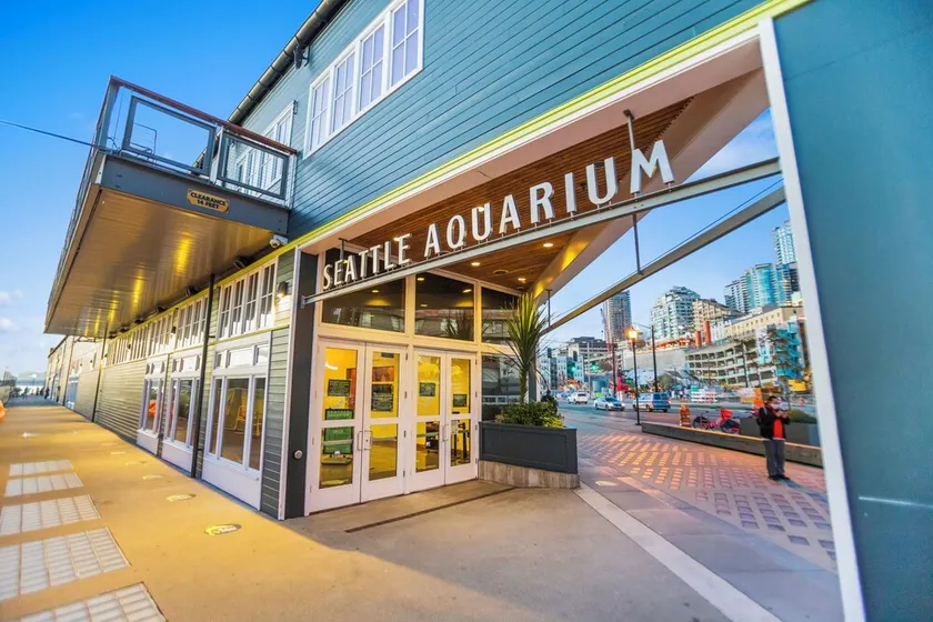 Cozy Belltown Condo with amazing Elliott Bay Views - Image 1