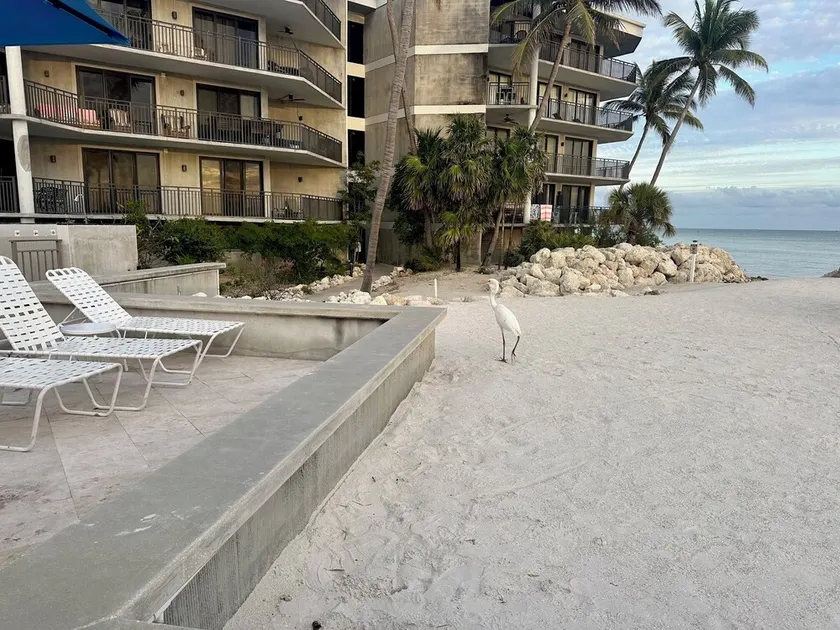 Botanical Island Delight C120: 2 BR, 2 BA Condominium i Key West, 4 sovplatser - Image 1