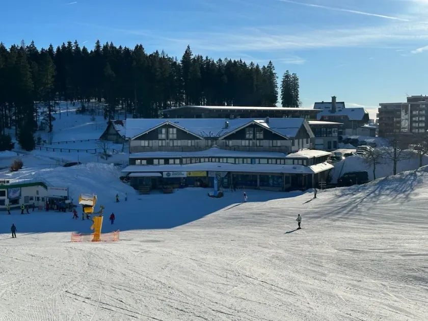 Ferienwohnung/app. für 7 Gäste mit 115m² in Feldberg - Image 1