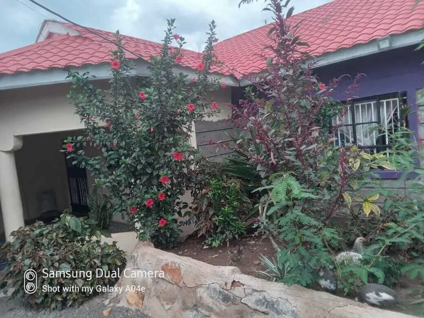 Caren Cottages & Airbnb Kitale - Image 1