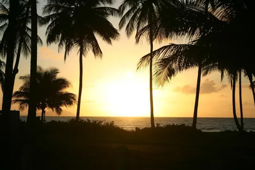 NATURE LOVER'S ESCAPE!-on 3200 acre reserve with miles of a \"Cast A Way\" beach. - Image 1