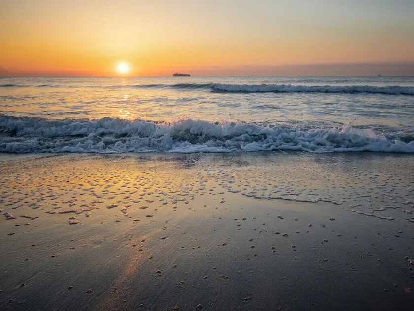 Laurel Reef - Image 1