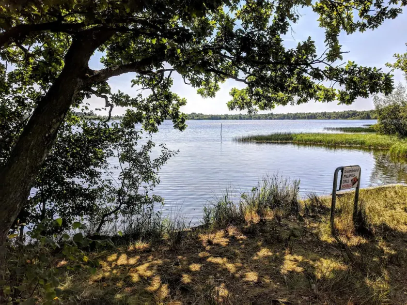 Rustic Holiday Home in Ansager near Water - Image 1