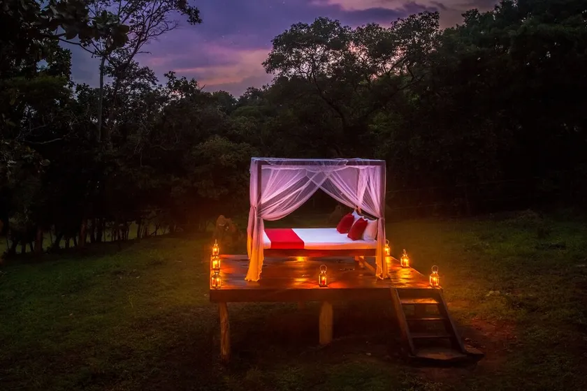Mountain Top Glamping Tree House with a Star Bed - Image 1