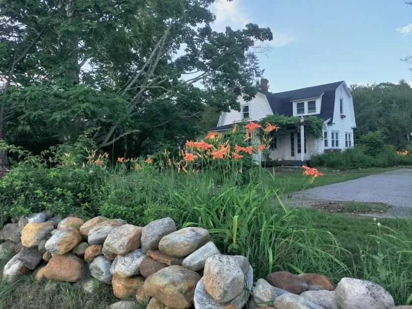 Hidden Gem in White Mtn: Pet Friendly and close to Hiking and ATV trails - Image 1