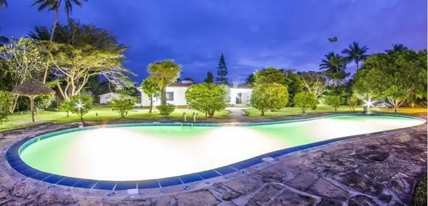 Olive House - Image 1