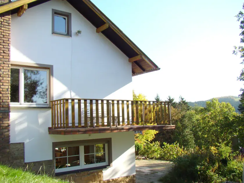 Cozy chalet on a hill in the forest near Willingen - Image 1