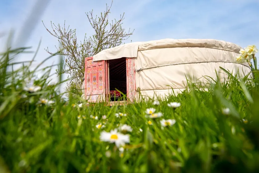 Mongolsk yurt på gården - Image 1