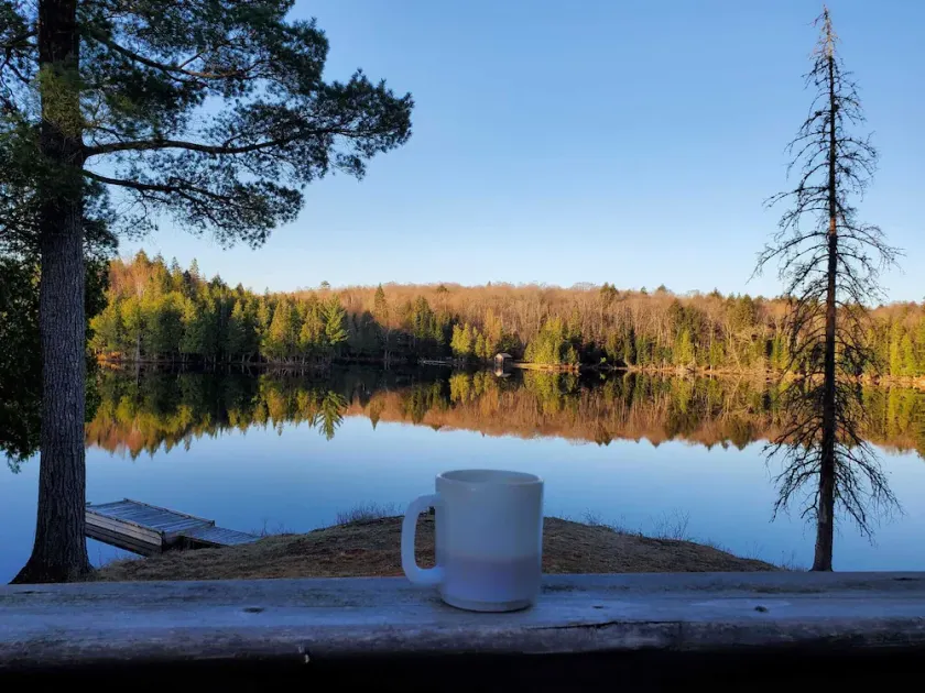 Cozy Cabin w/ 2000ft waterfront, 100+ acres to explore - Image 1