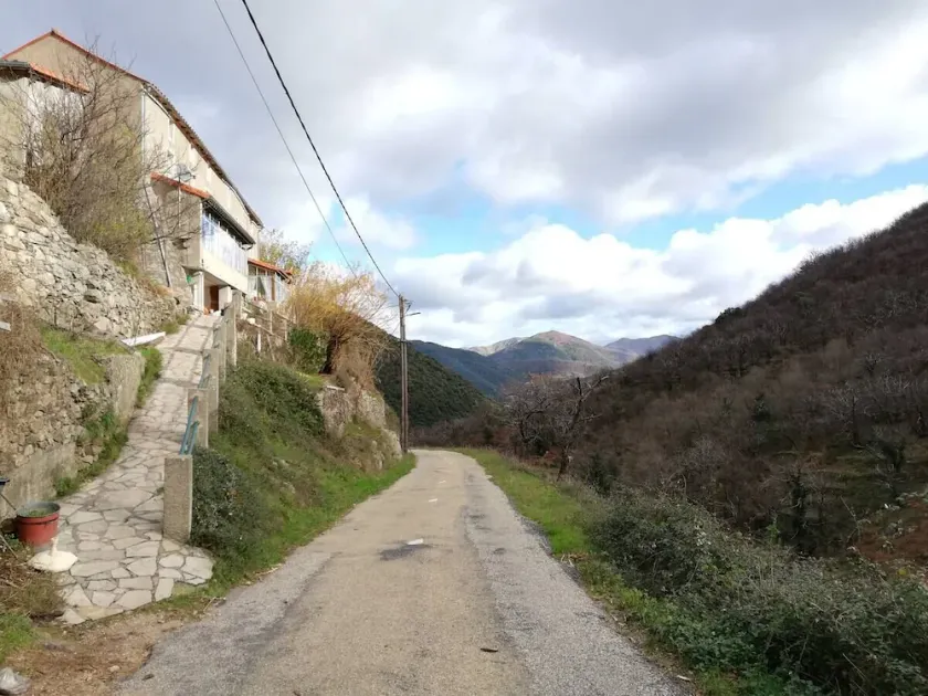 Les Murier - Image 1