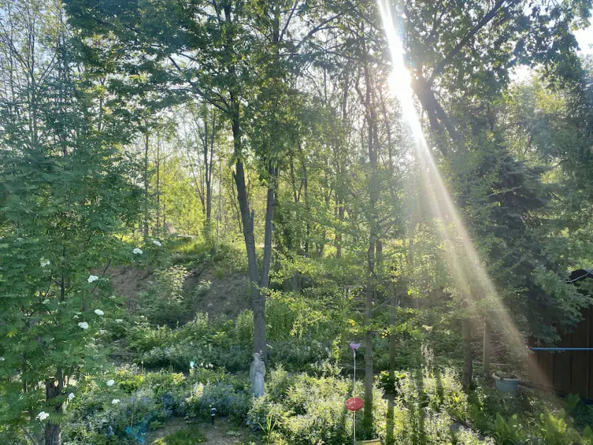 Wild Divine Sanctuary: Yoga + Nature + Zen - Image 1