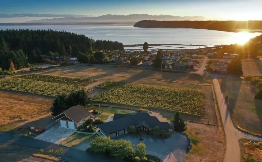 Vineyard Villa Bayview Getaway. Family Friends Gathering and Kids' Fun Paradise - Image 1