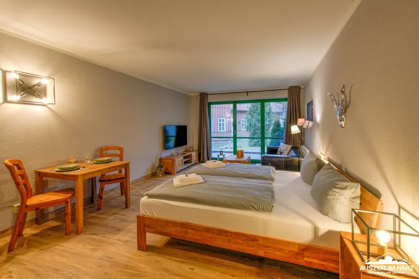 Auszeit-im-Harz Haus 5 Wohnung 21 - Image 1
