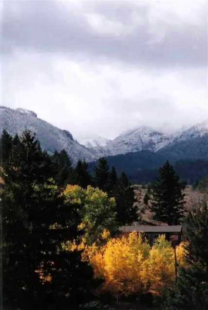 Aspen Cabin in der Nähe von Yellowstone - Ausritte, Seilrutschen, Rafting, Wandern - Image 1