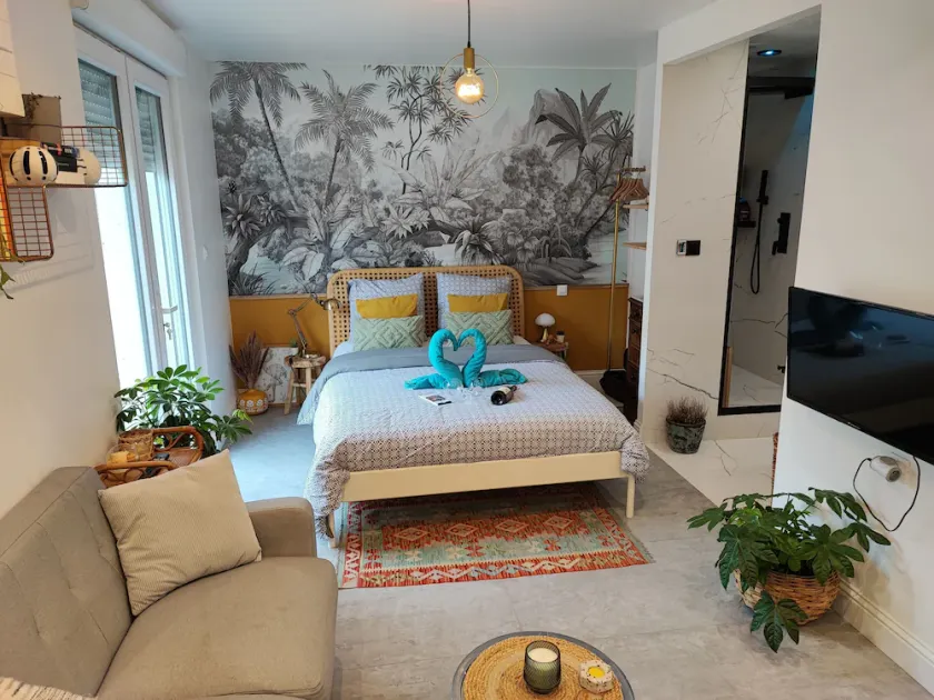 Superbe appartement avec jacuzzi avec jardin privé - Image 1