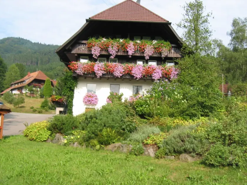 Haus Schneider, lejlighed Talblick - Image 1