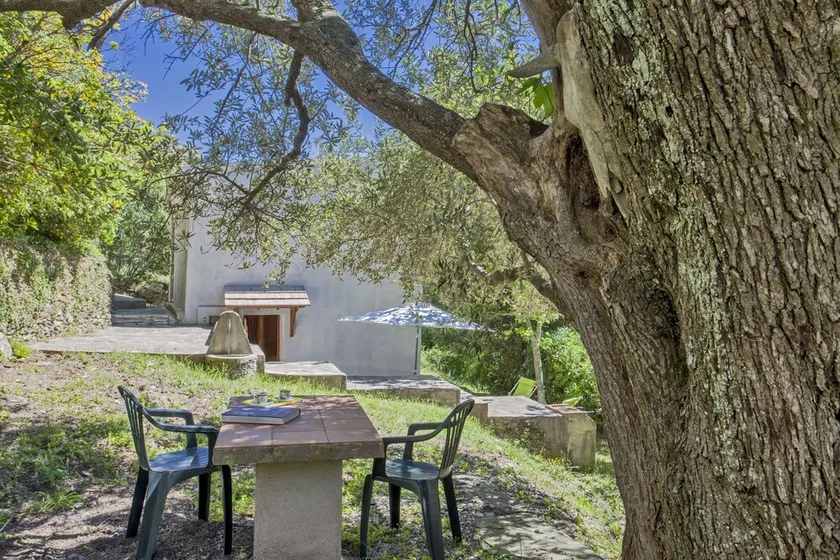 Pequeña casa para las vacaciones en plena naturaleza. - Image 1