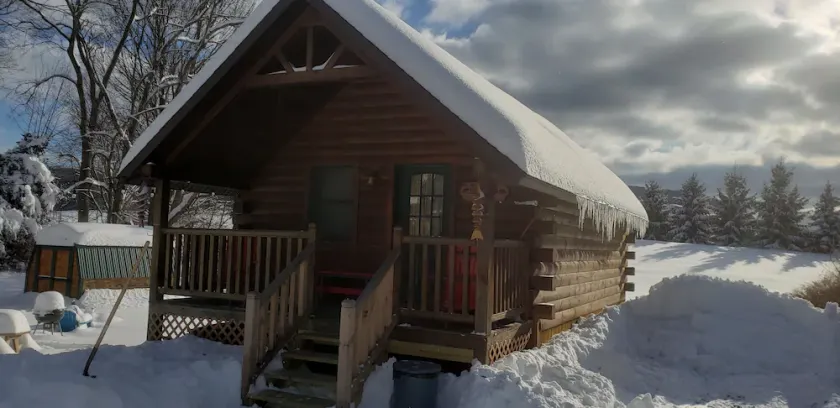 Riverfront Cabin West Branch Delaware River - Image 1