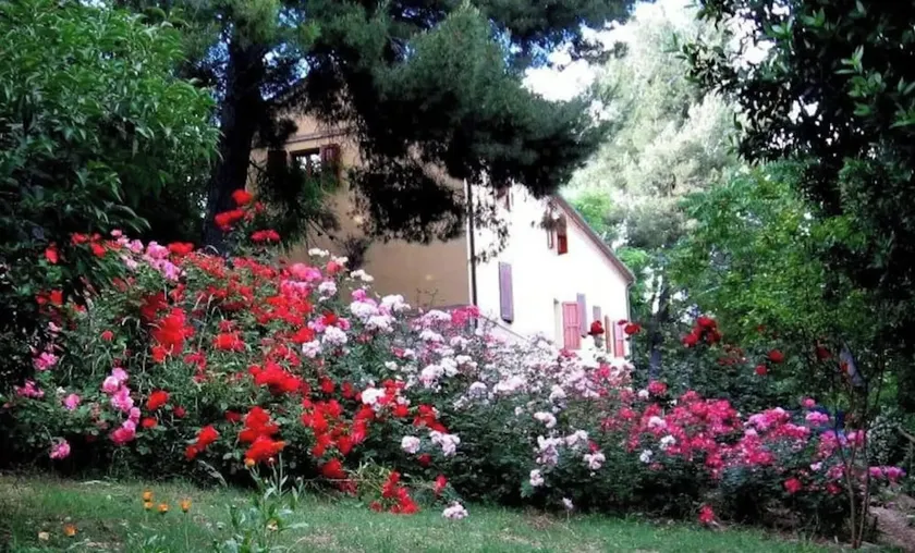 APP. in the MARCHIGIAN COUNTRY, Multifamily - Image 1
