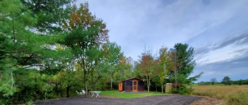 Pine Cone Off grid cabin near Watkins Glen, NY! - Image 1