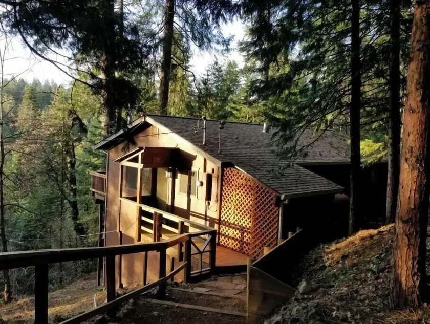 Cedar Pines Cabin w/ Fire Pit & Large Deck - BIG Trees - A Quaint Rustic Charmer - Image 1