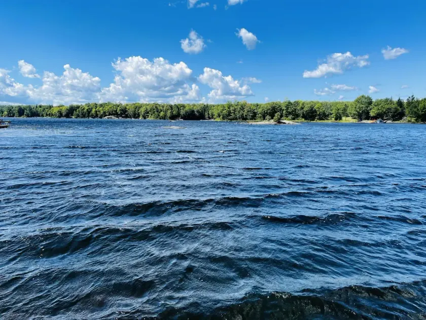 Beautiful lakefront cottage with sandy beach & private dock - Image 1