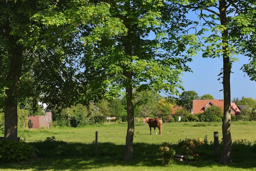 Ferienhaus Nordseeliebe - Image 1