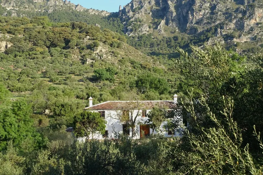 Betania. Hus med pool i den smukke dal Grazalema - Image 1