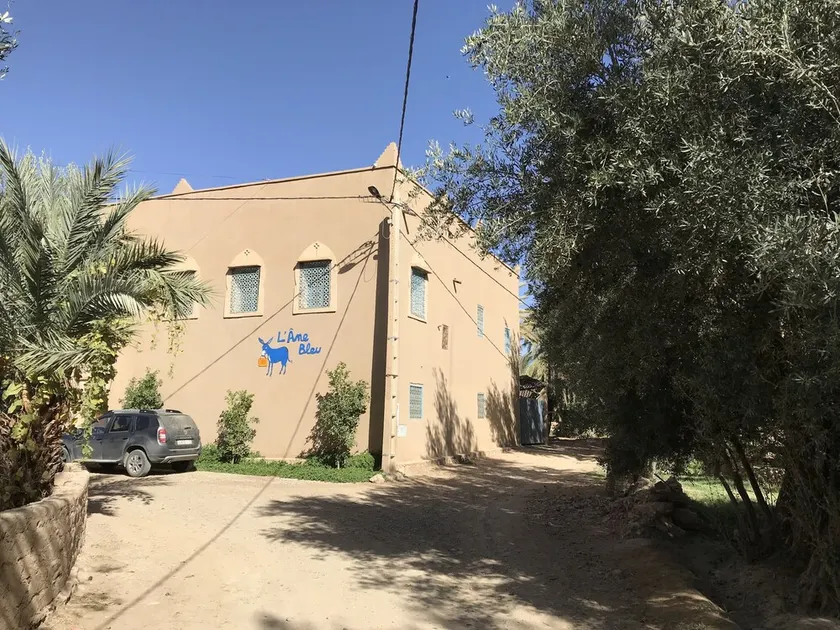 Casa de huéspedes en palmeral - Image 1