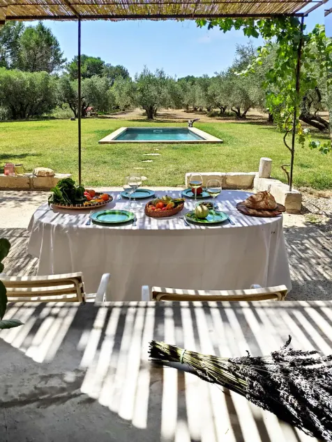 Authentique mazet avec piscine au milieu de 2 hectares d'oliviers - Image 1