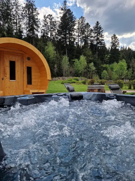 Chalet cosy & confort Spa,Sauna,Pétanque,VE - Top situation à Gérardmer - Image 1
