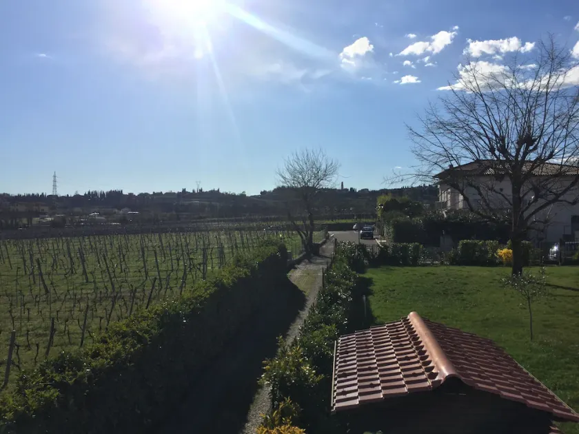Valpolicella: en titt på Valpolicella. - Image 1