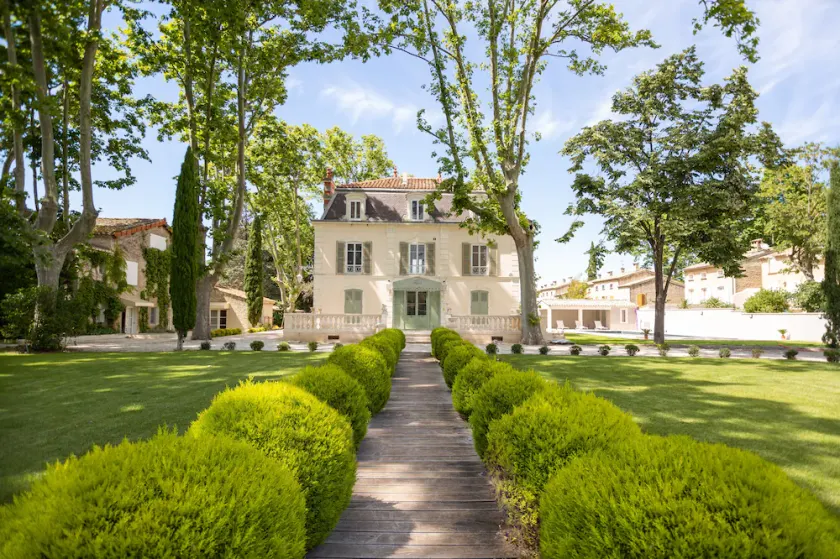 Ash Trees in Provence - Image 1