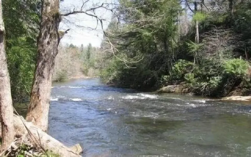 'CREEK-N-AWESOME'  Luxury Creek Cabin /Trout Fishing/Hot Tub/PET FRIENDLY - Image 1