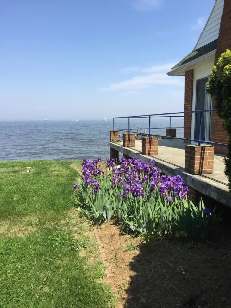 Chesapeake Bay enebolig - Image 1