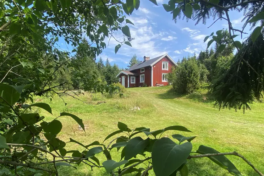 Skogstorp fra 1879 på en lyngklædt bakke midt i skoven - Image 1