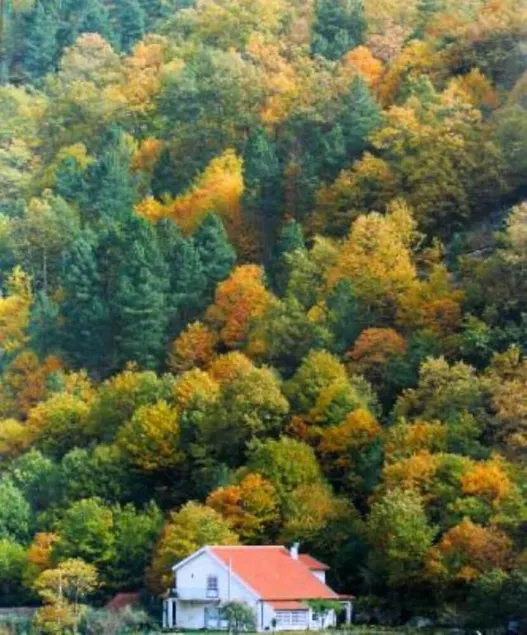 Casa com jardim e piscina em Manteigas no coração da Serra da Estrela - Image 1