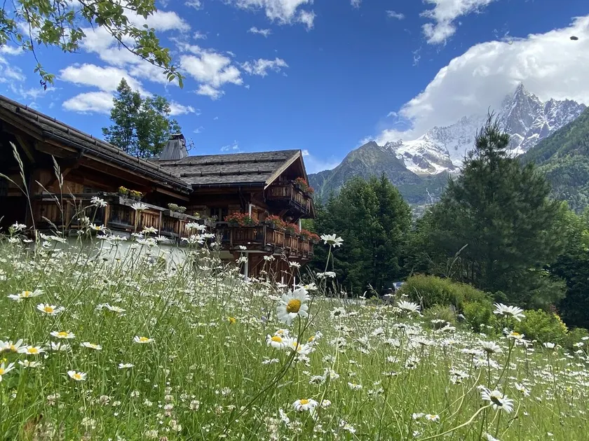 Charming chalet facing Mt Blanc - Image 1