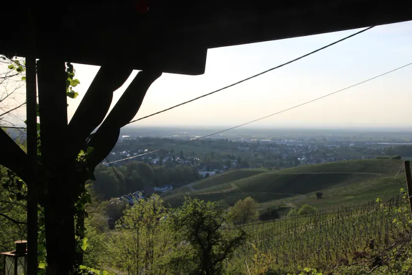 Something special for nature lovers with a wonderful distant view - Image 1