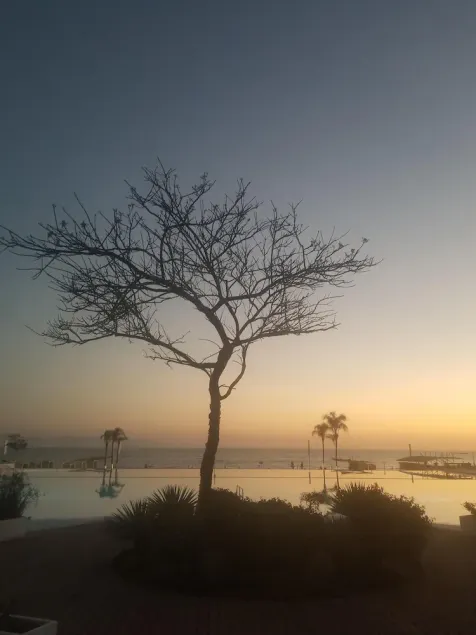 Closest to the Beach - Image 1