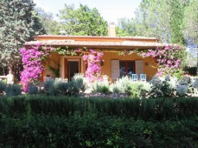 House with garden on hill - Image 1