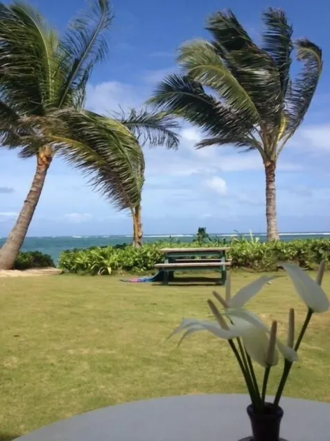 Un absolu, Perfect Paradise et abordable - Image 1