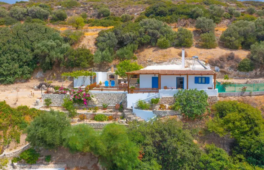 The Rock & The Lemon Tree - Image 1