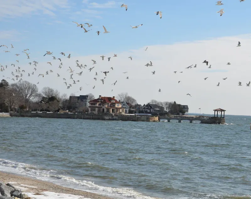 Luksus direkte strandpromenade ved stranden, perfekt til familier 5 eller derunder - Image 1
