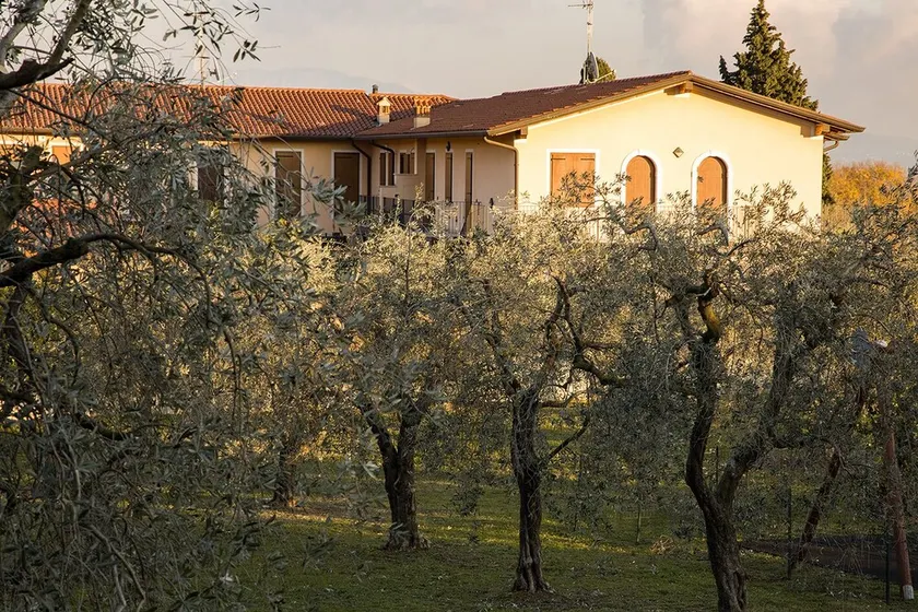 House in the Olive Trees-For a relaxing vacation at the lake. - Image 1